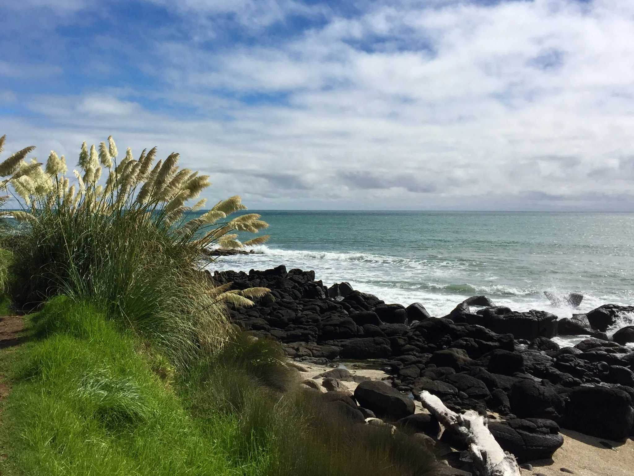 Raglan food trail