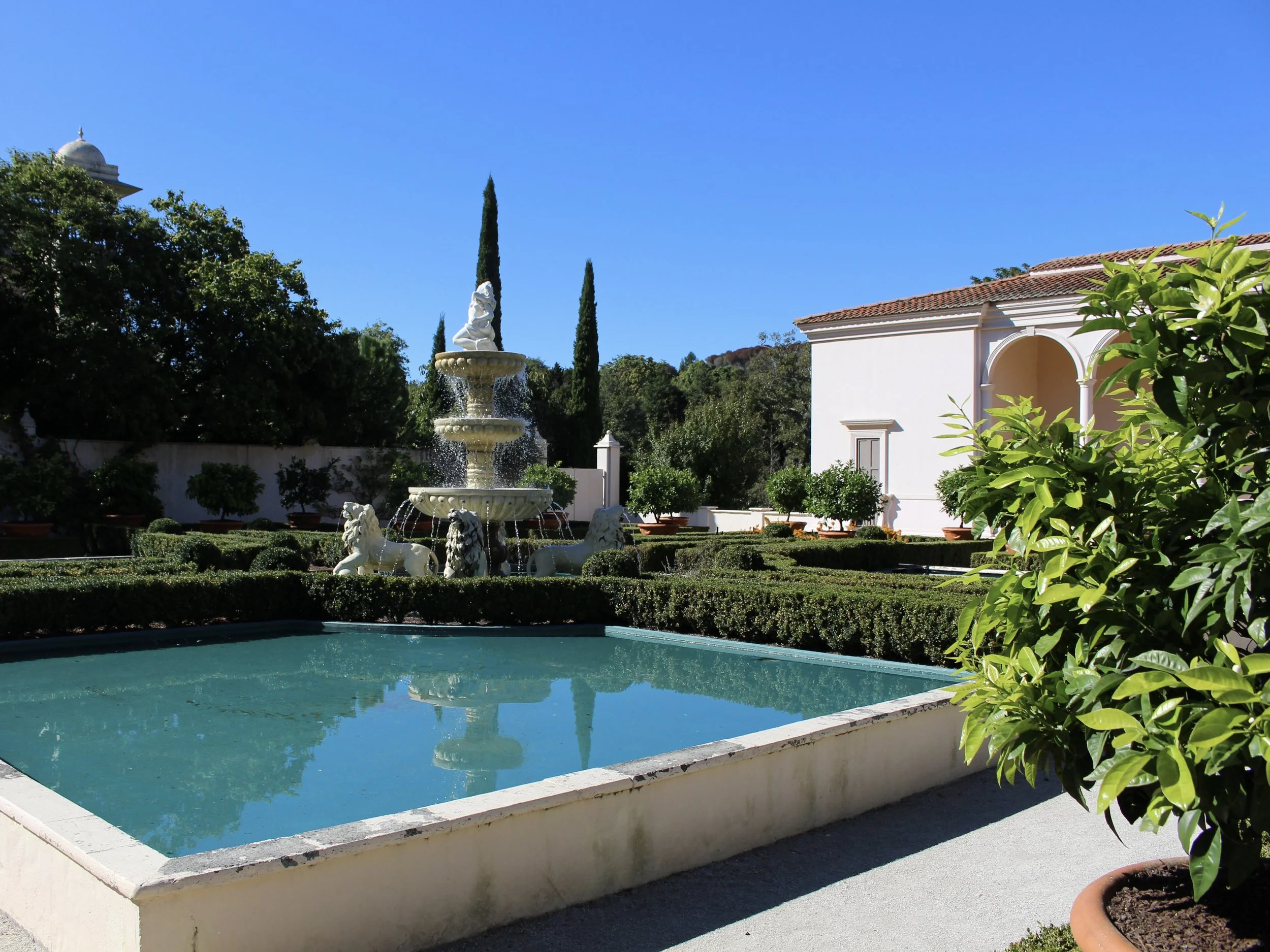 Hamilton gardens