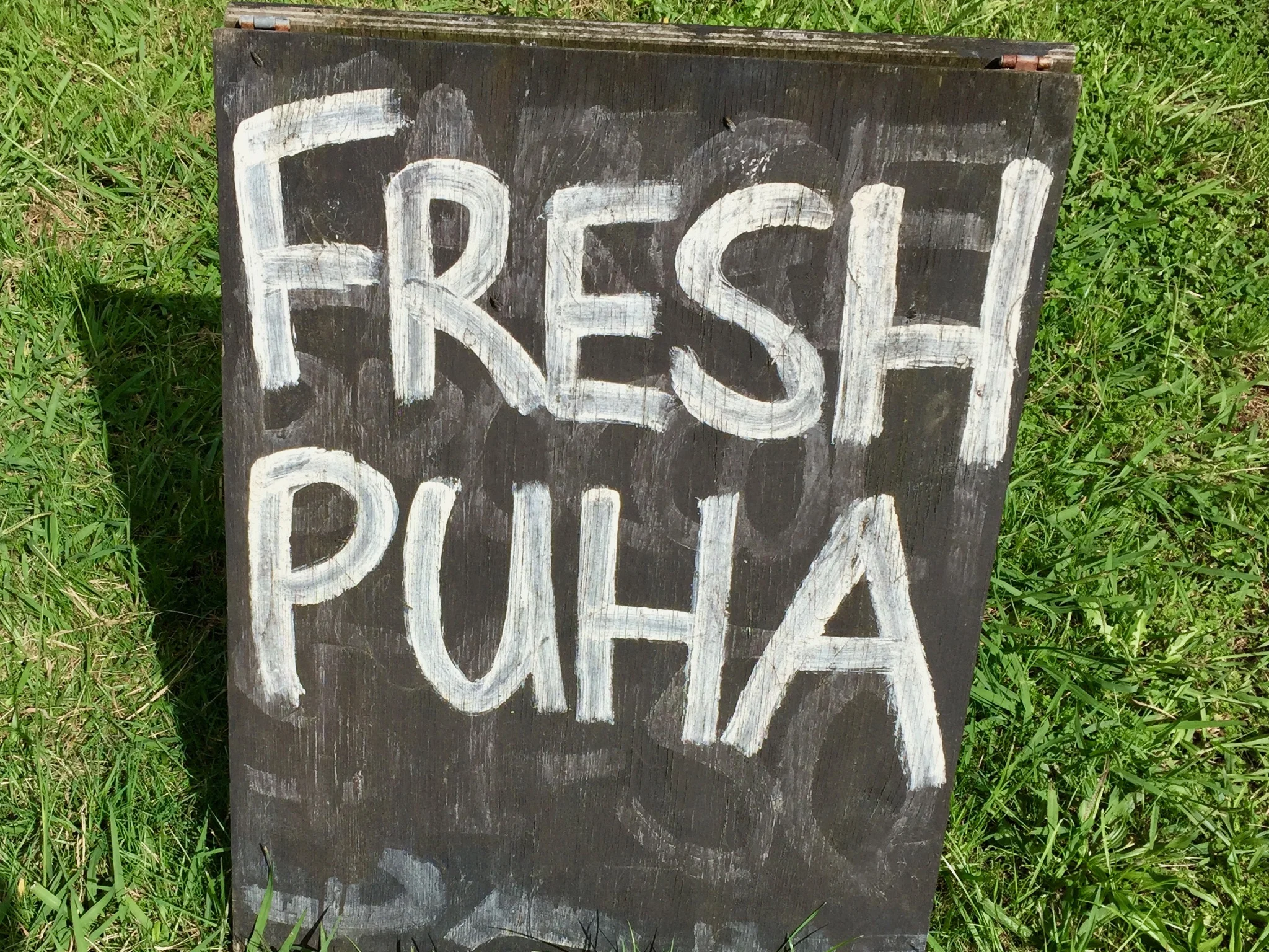 puha
