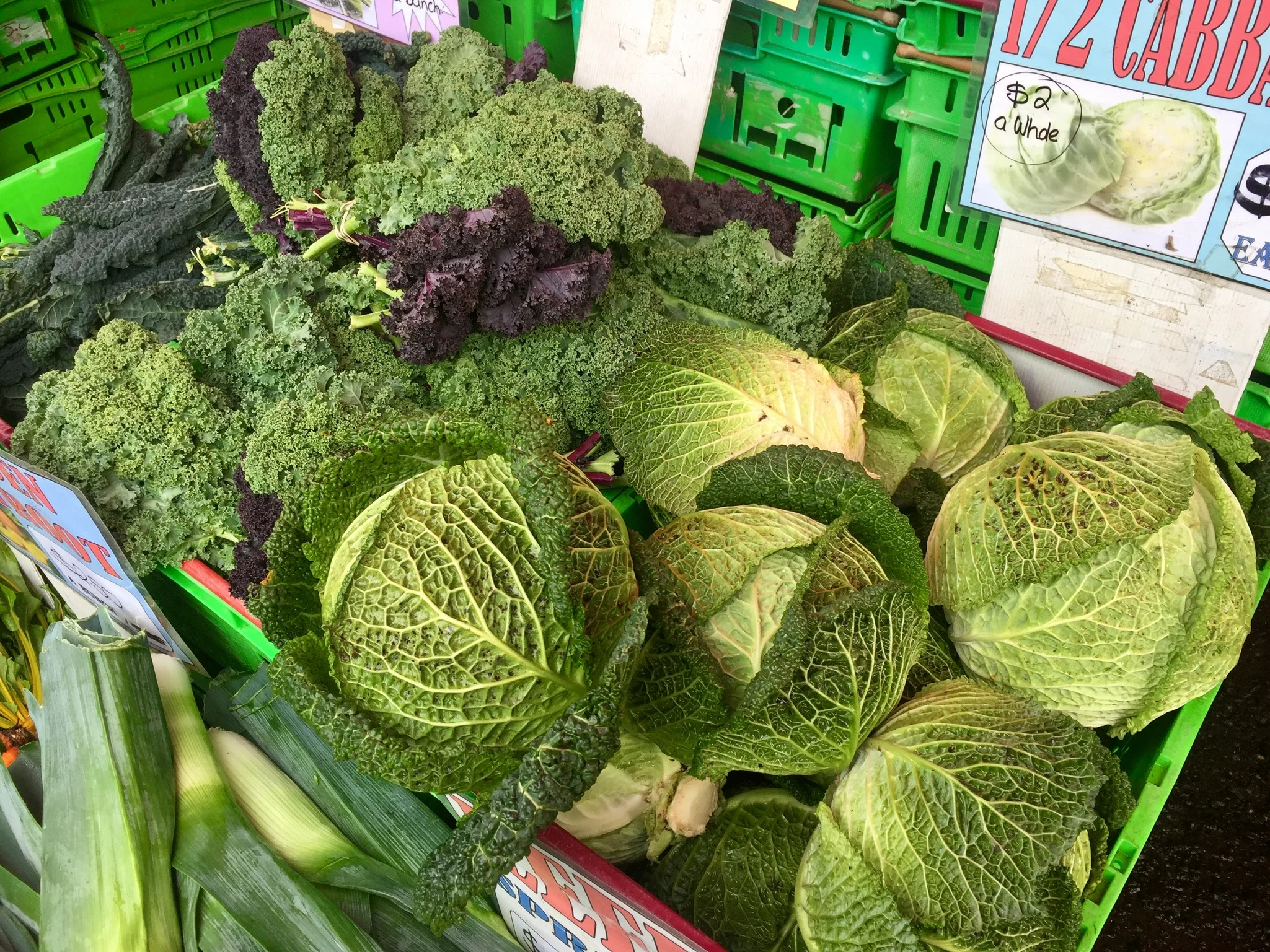Otago Farmers Market
