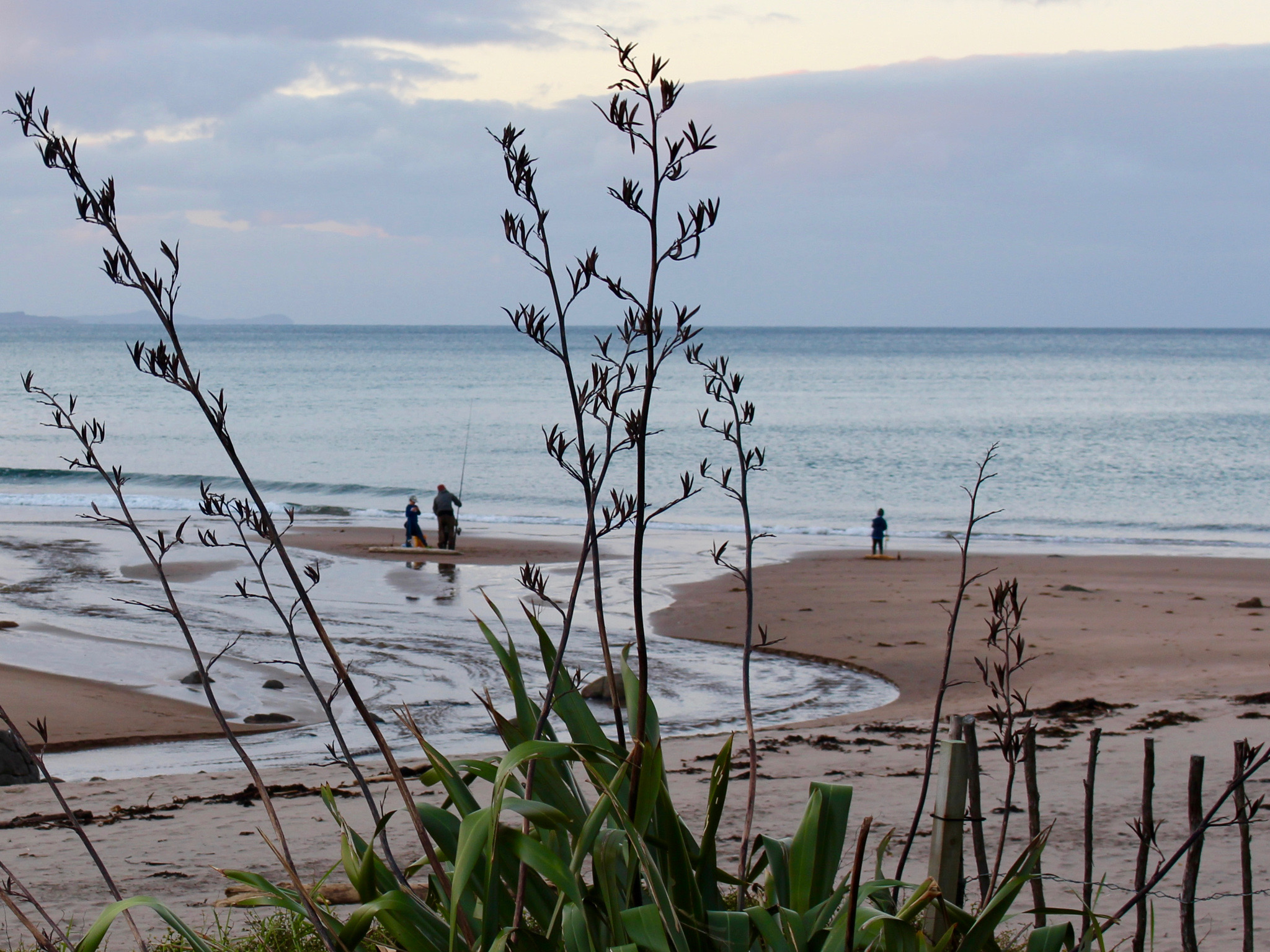 Coromandel food trail