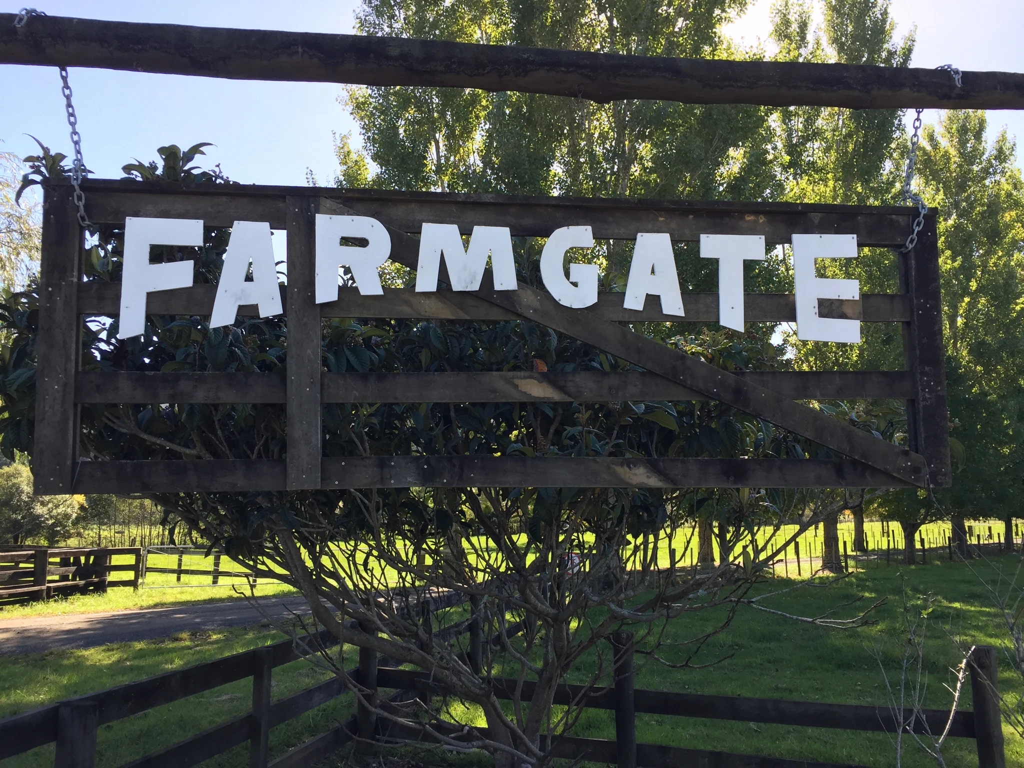Coromandel food trail