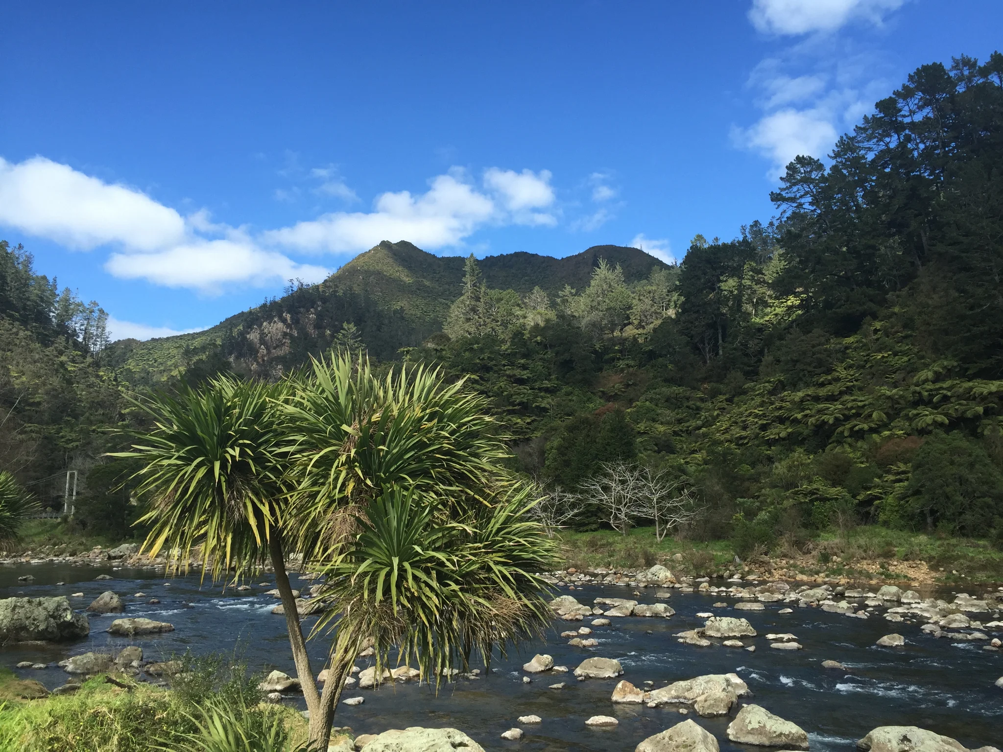 Karangahake