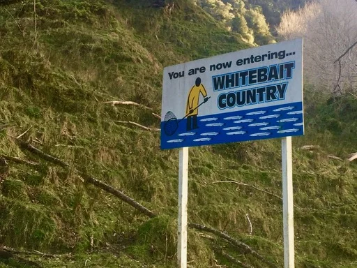whitebait country