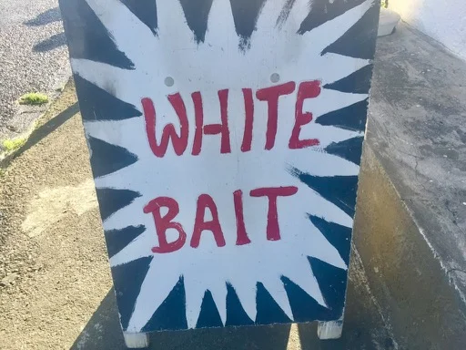 whitebait