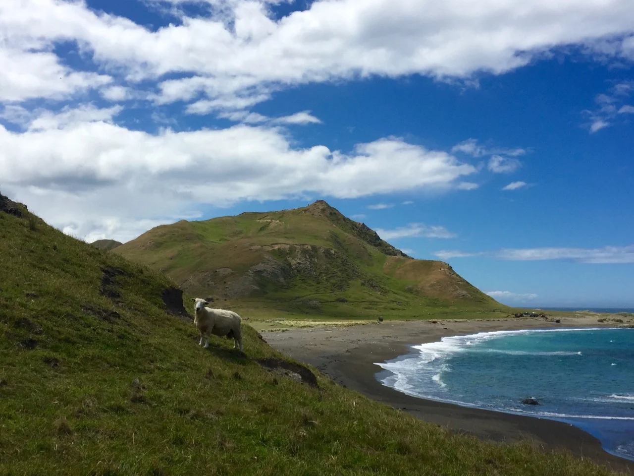 Wairarapa coastline