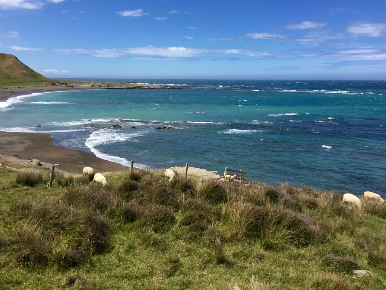 Wairarapa coastline 