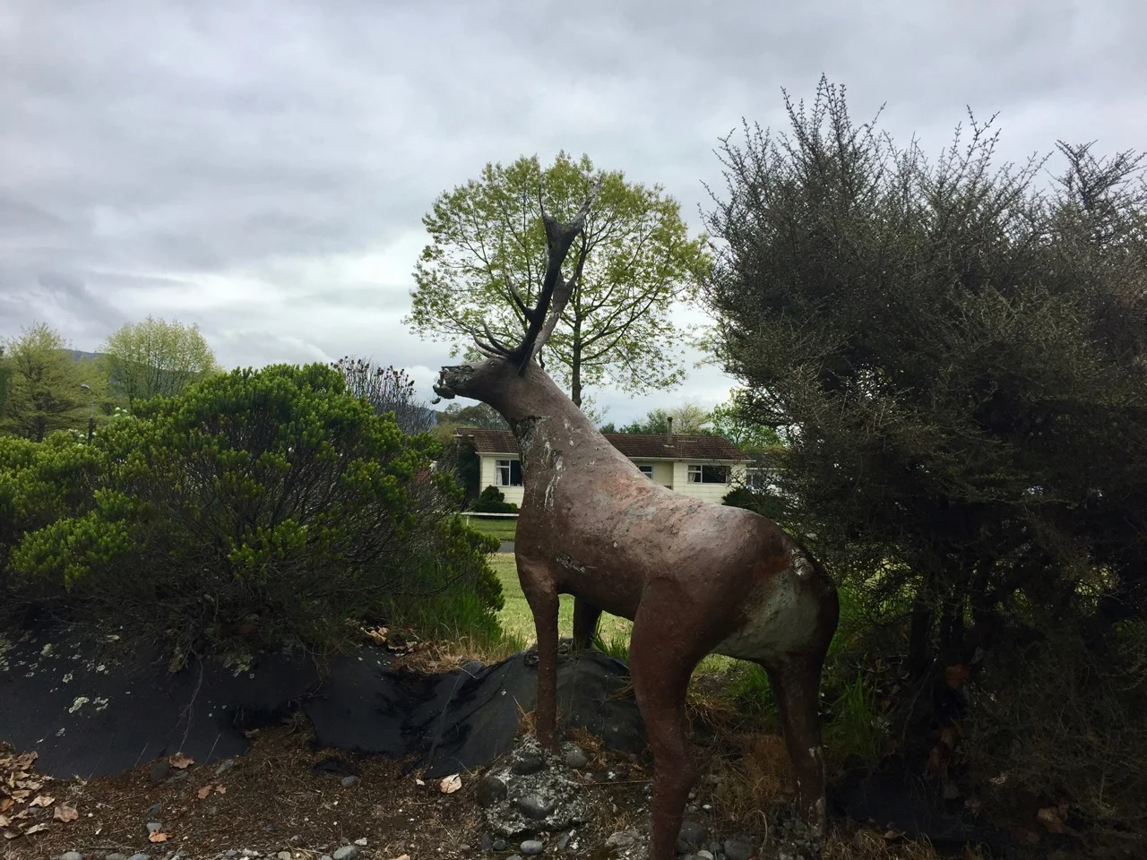 Turangi food trail