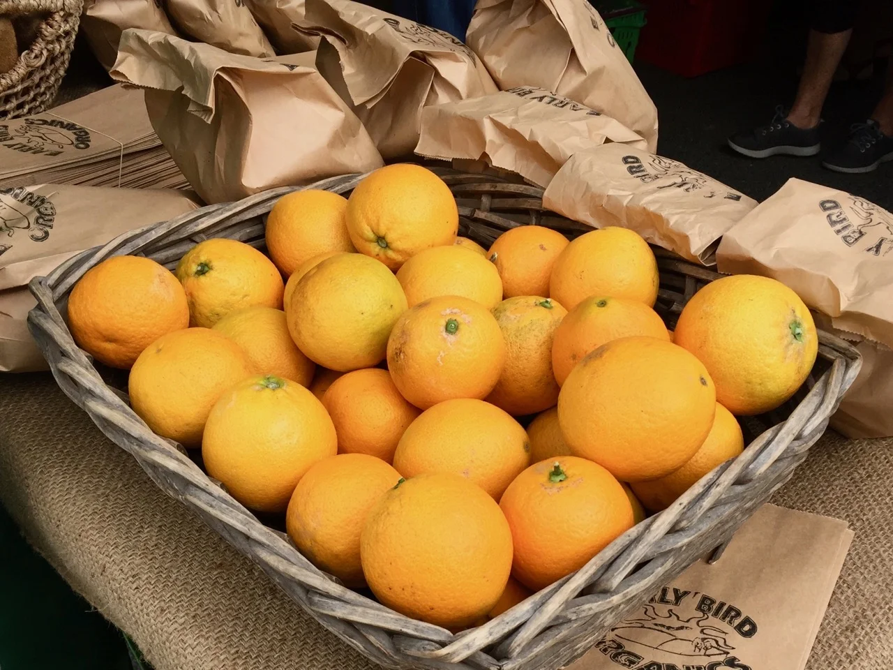Gisborne oranges on food trail
