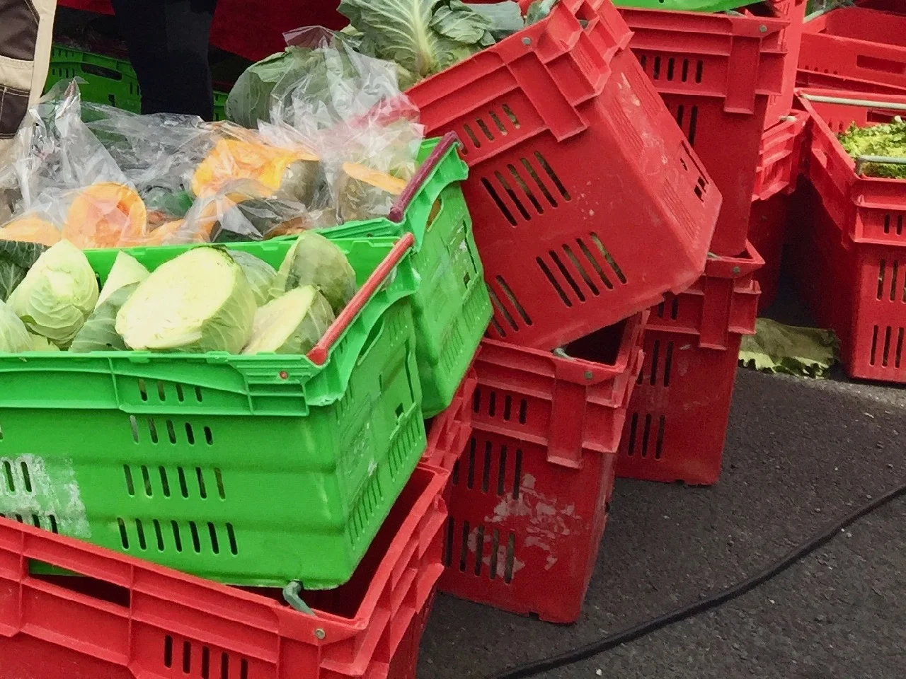 Gisborne farmers market and food trail