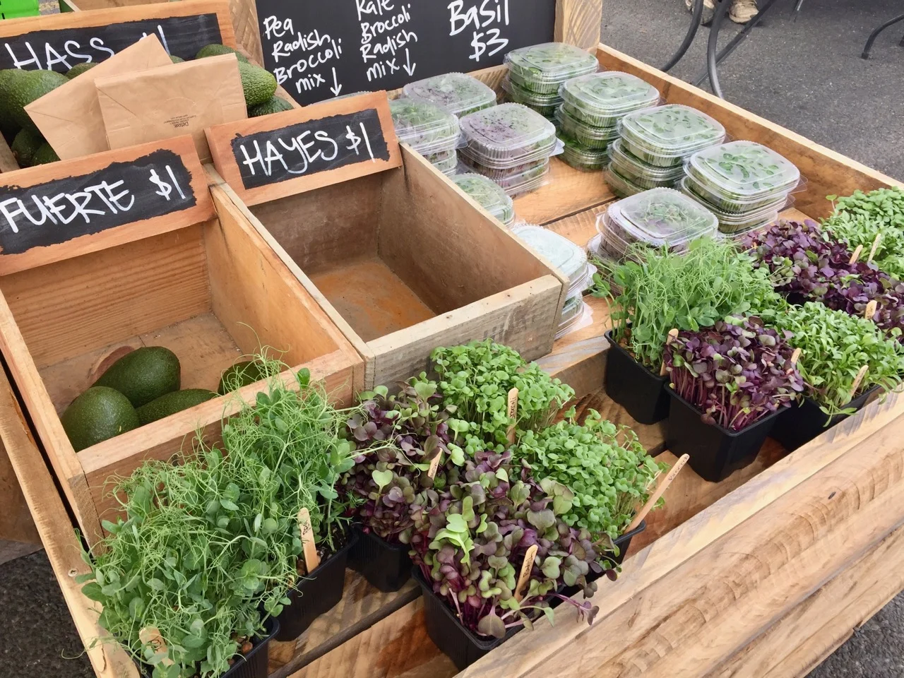 Gisborne farmers market and food trail
