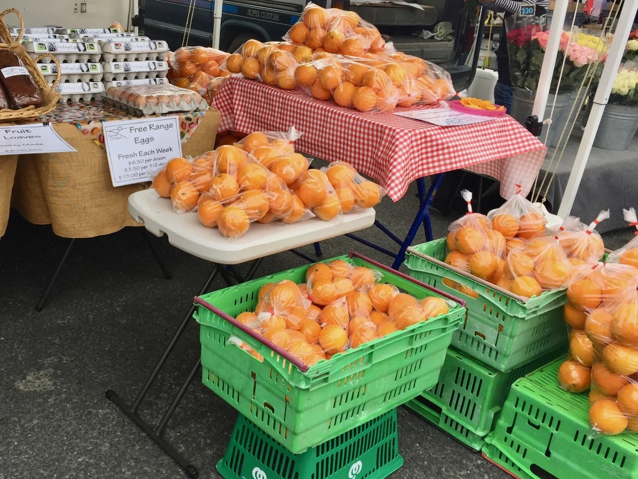 Gisborne food trail and farmers market