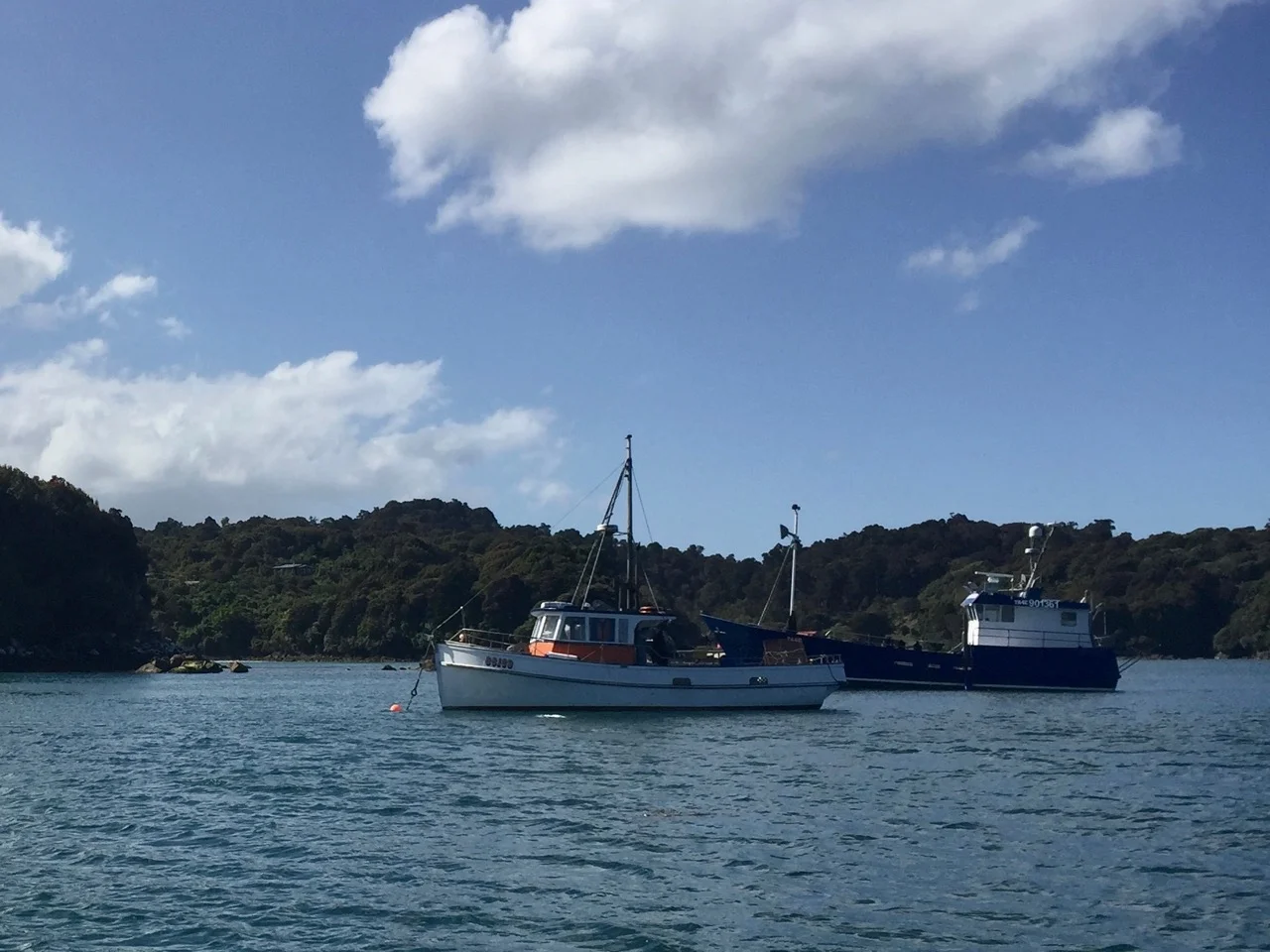 Stewart Island food trail
