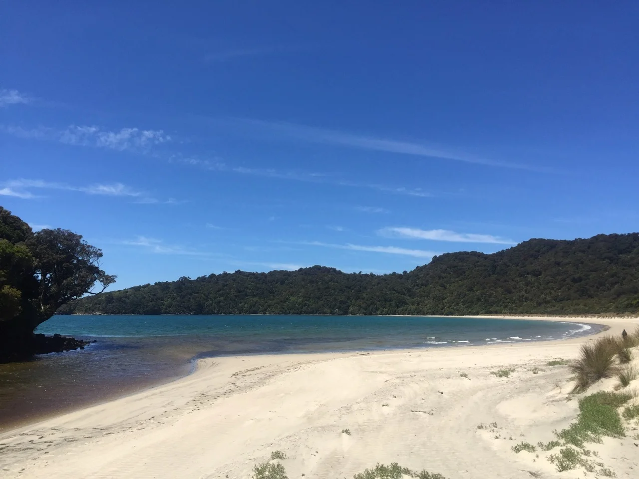 Stewart Island food trail