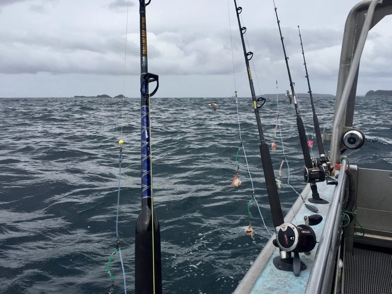 Stewart Island food trail