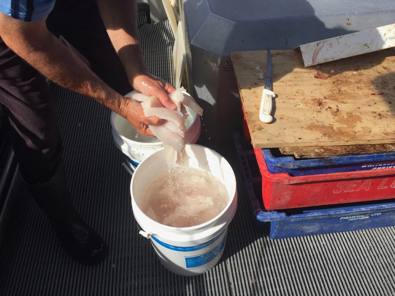 Stewart Island food trail