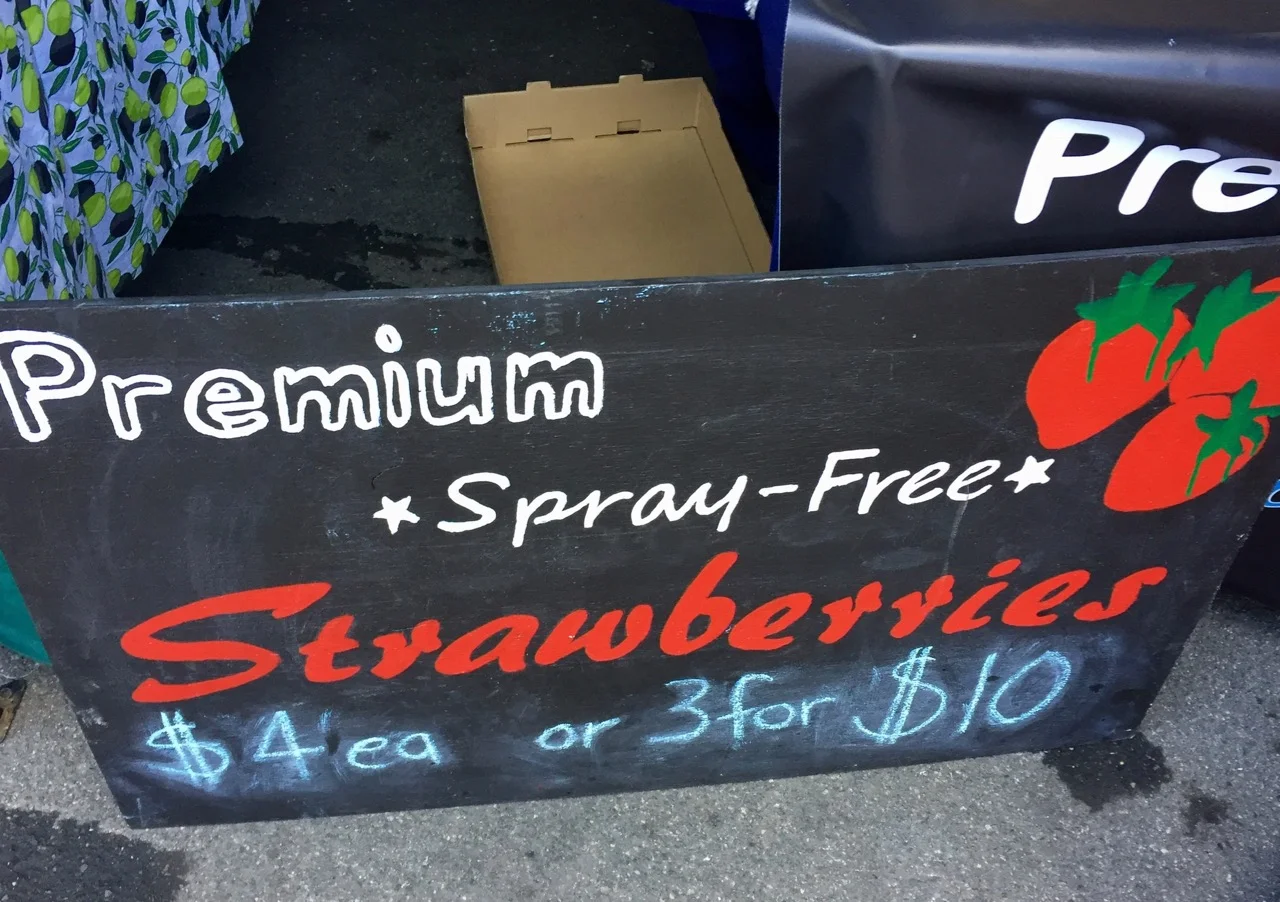 Rotorua night markets