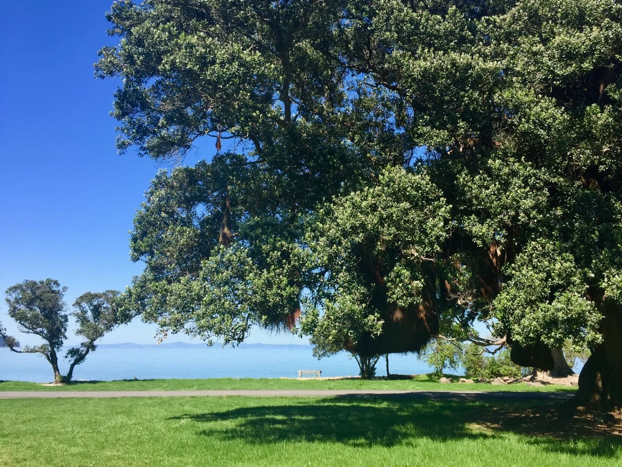 Coromandel food trail