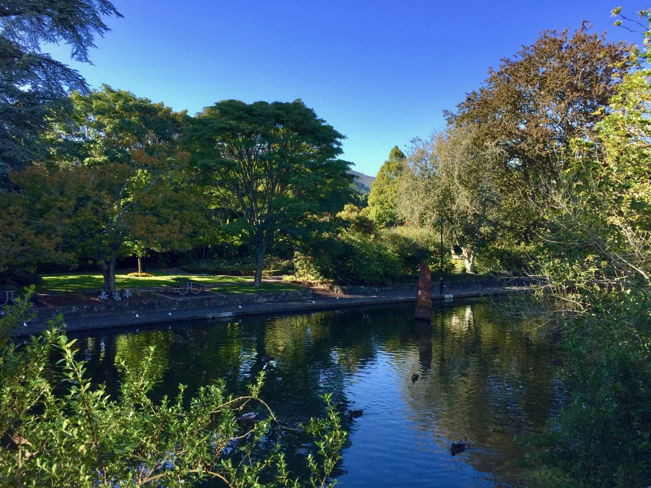 Nelsonfoodtrail