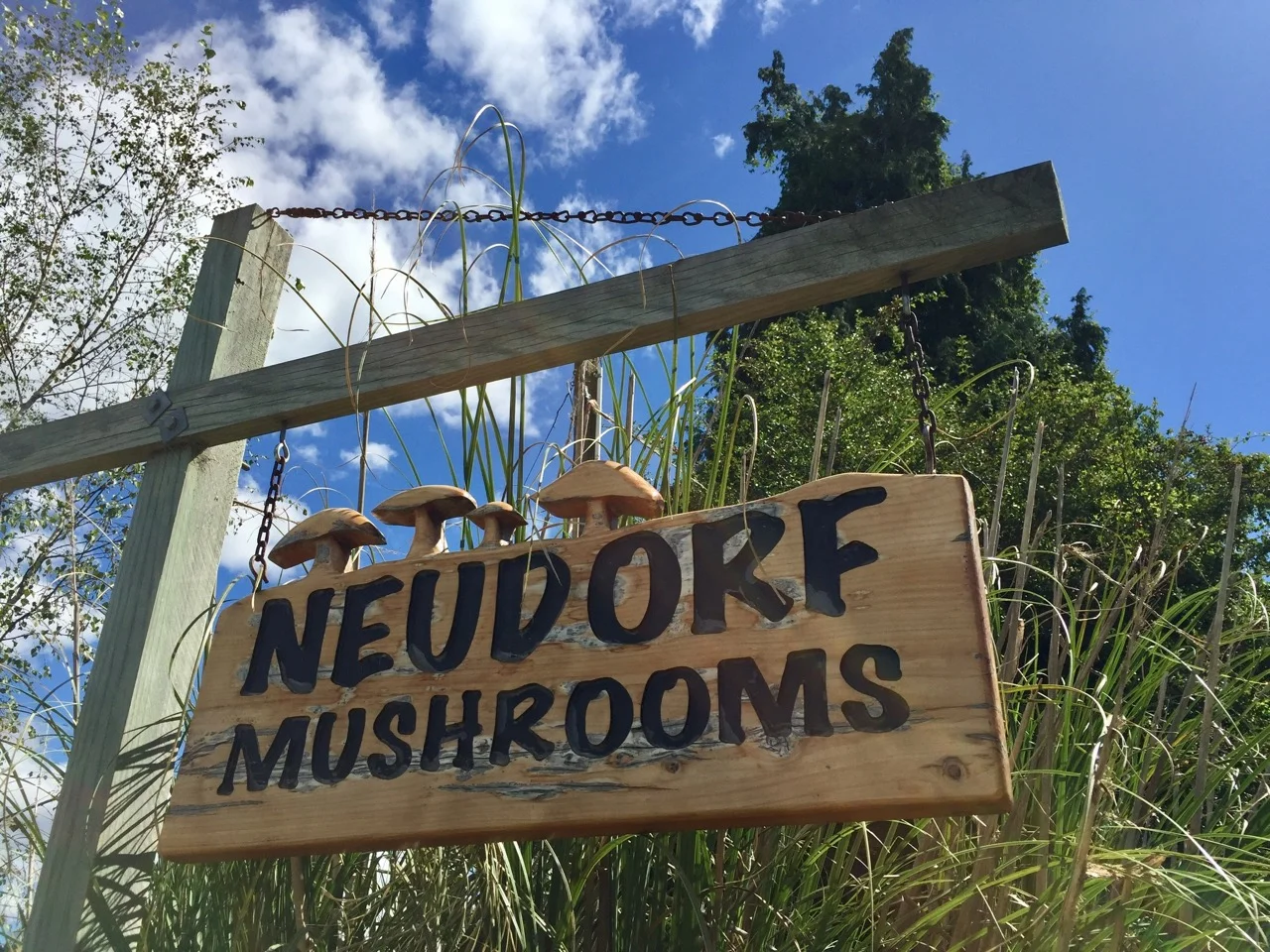Neudorf mushrooms Moutere