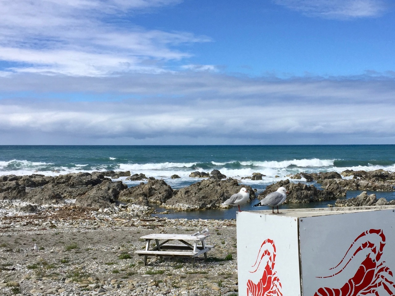 Kaikōura Stop In For Classic Kiwi Experiences Between The