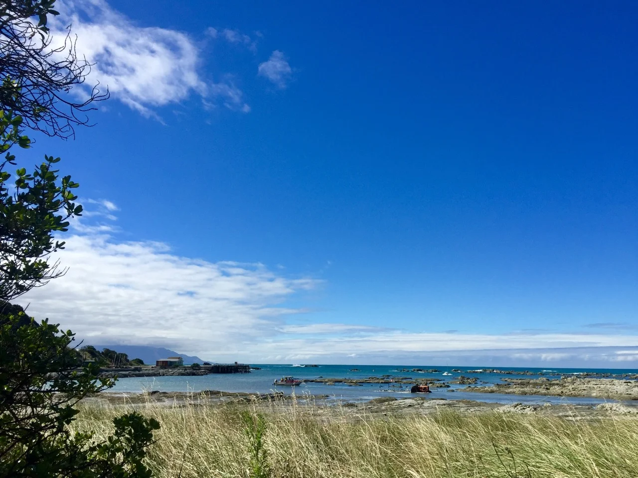 Kaikoura food trail