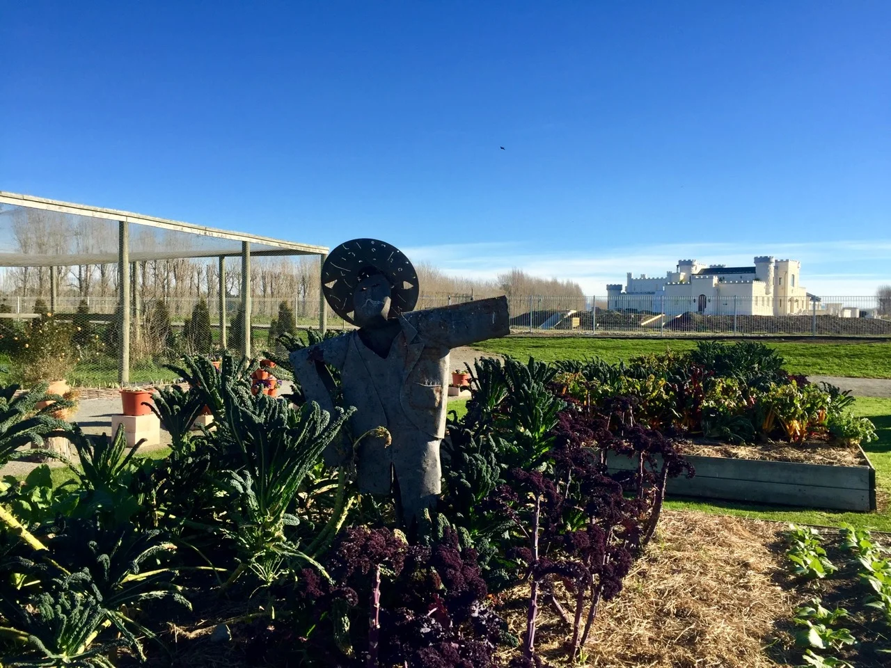 oamaru food trail
