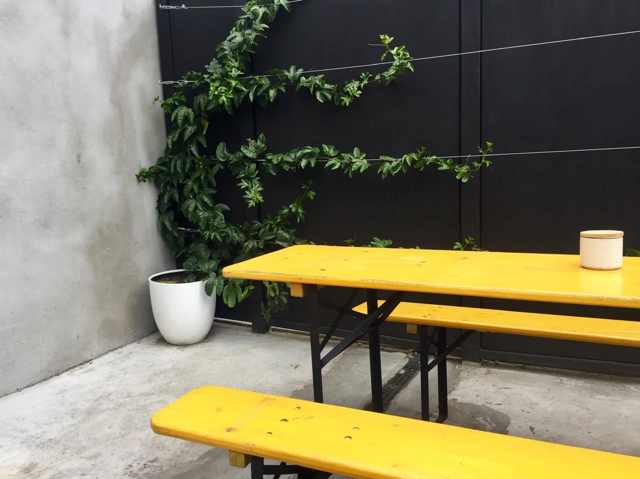 Cupple yellow courtyard