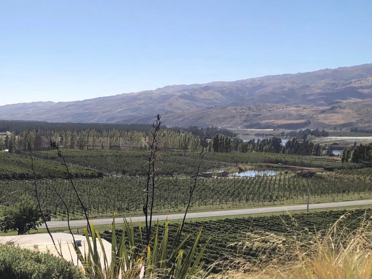bannockburn view