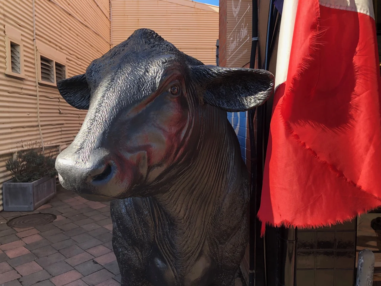 Bulls