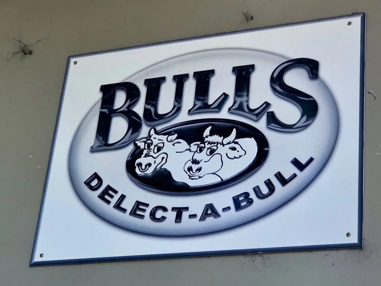 delect-a-bull