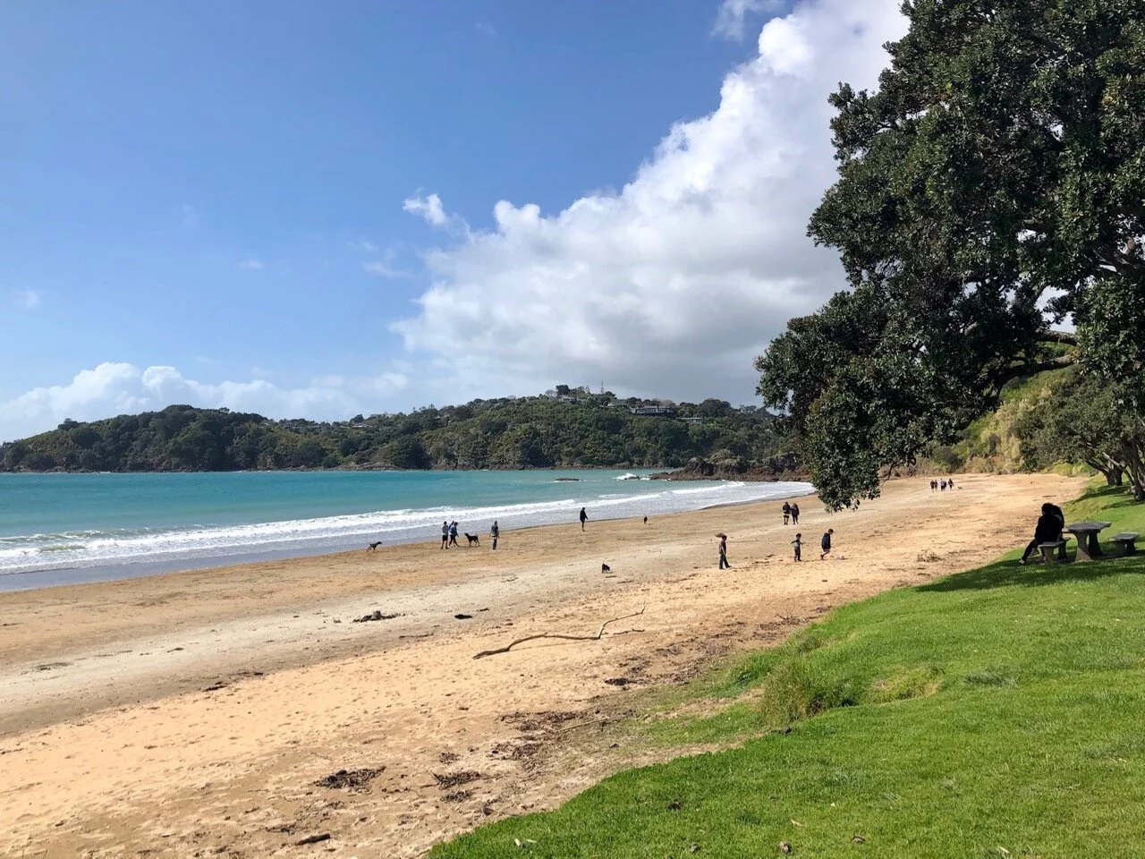 Oneroa beach