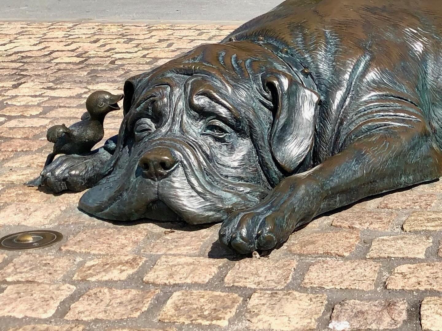 AN ALBUM FEATURING DOGS | A significant birthday for a special canine we know, and memories of another loved dog we miss, inspired this album for our paid subscribers of dog statues we&rsquo;ve visited throughout Aotearoa New Zealand.  Read more on S