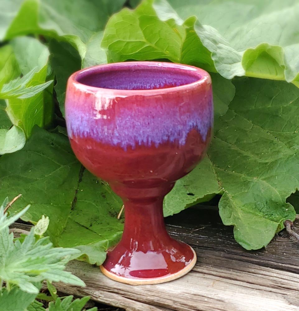 red goblet in the rhubarb.jpg