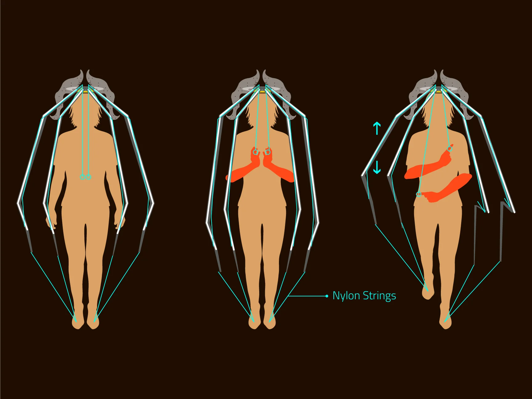 The Function of Finger Movements.