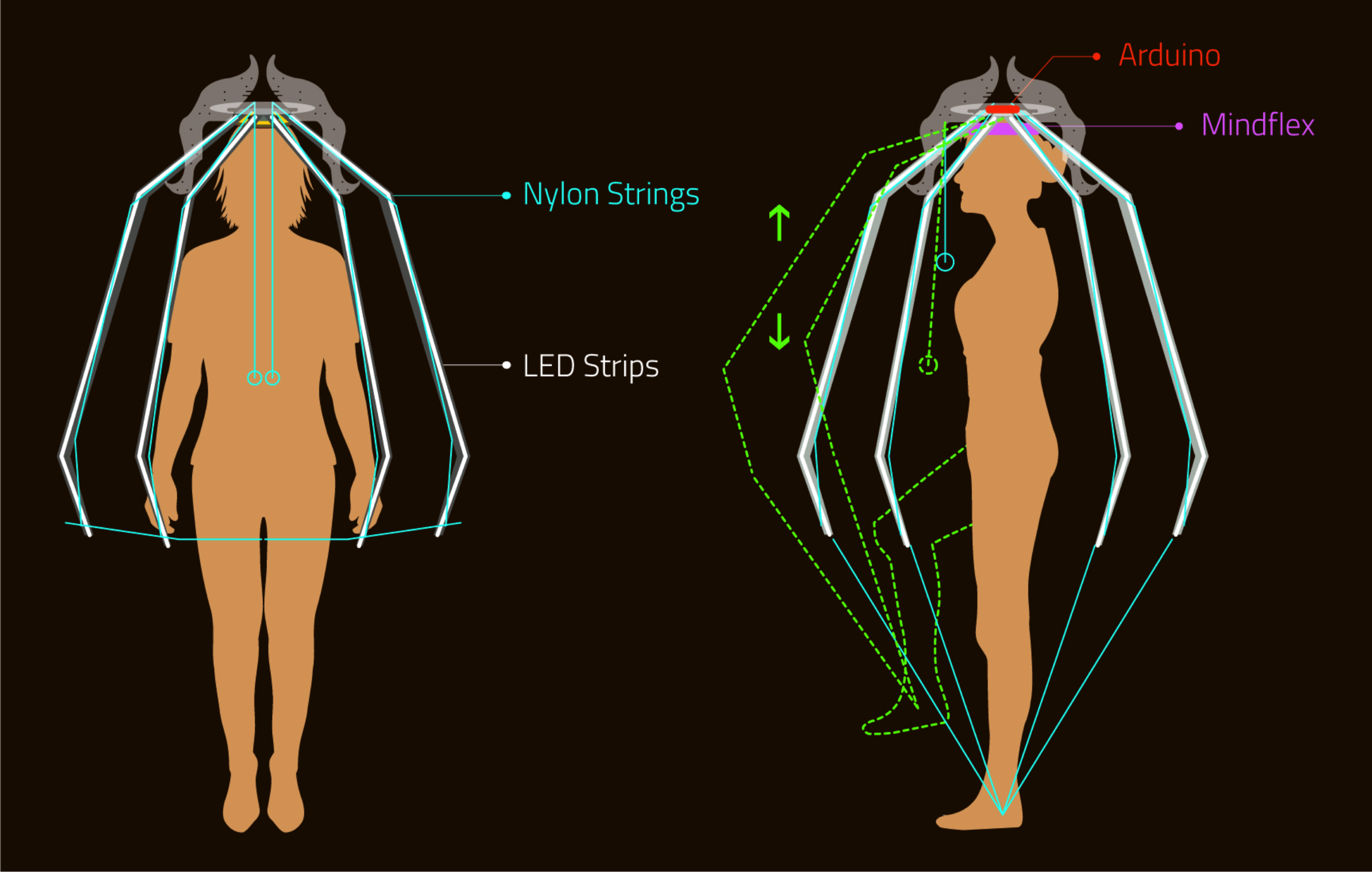 A Diagram.