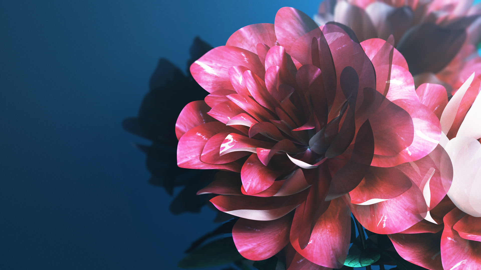 flower_final7.png