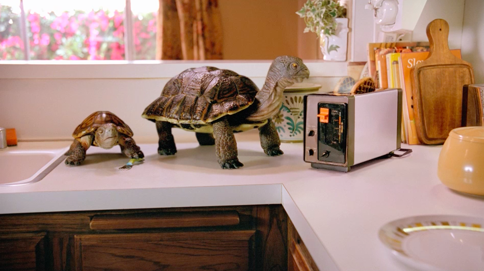 COMCAST XFINITY "SLOWSKYS F-WORD"