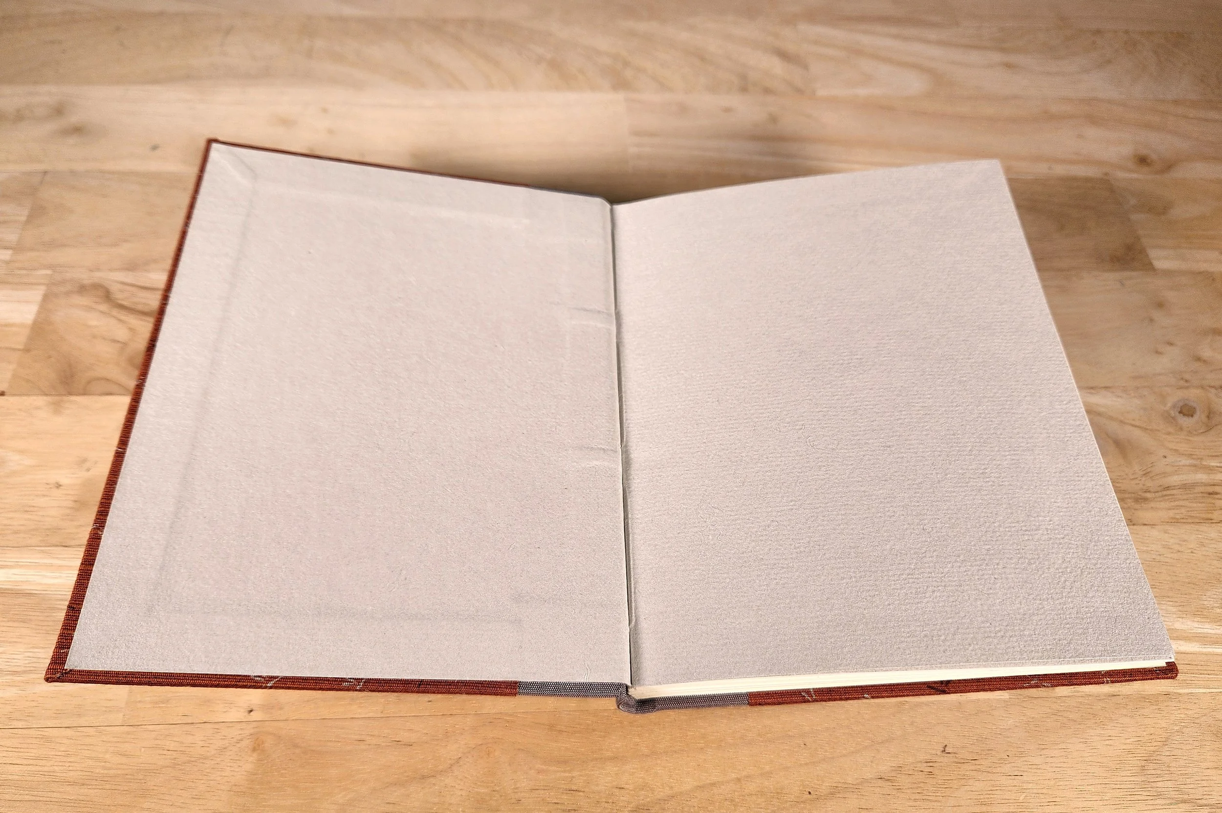 case-bound-dragonflies-endsheets.jpg