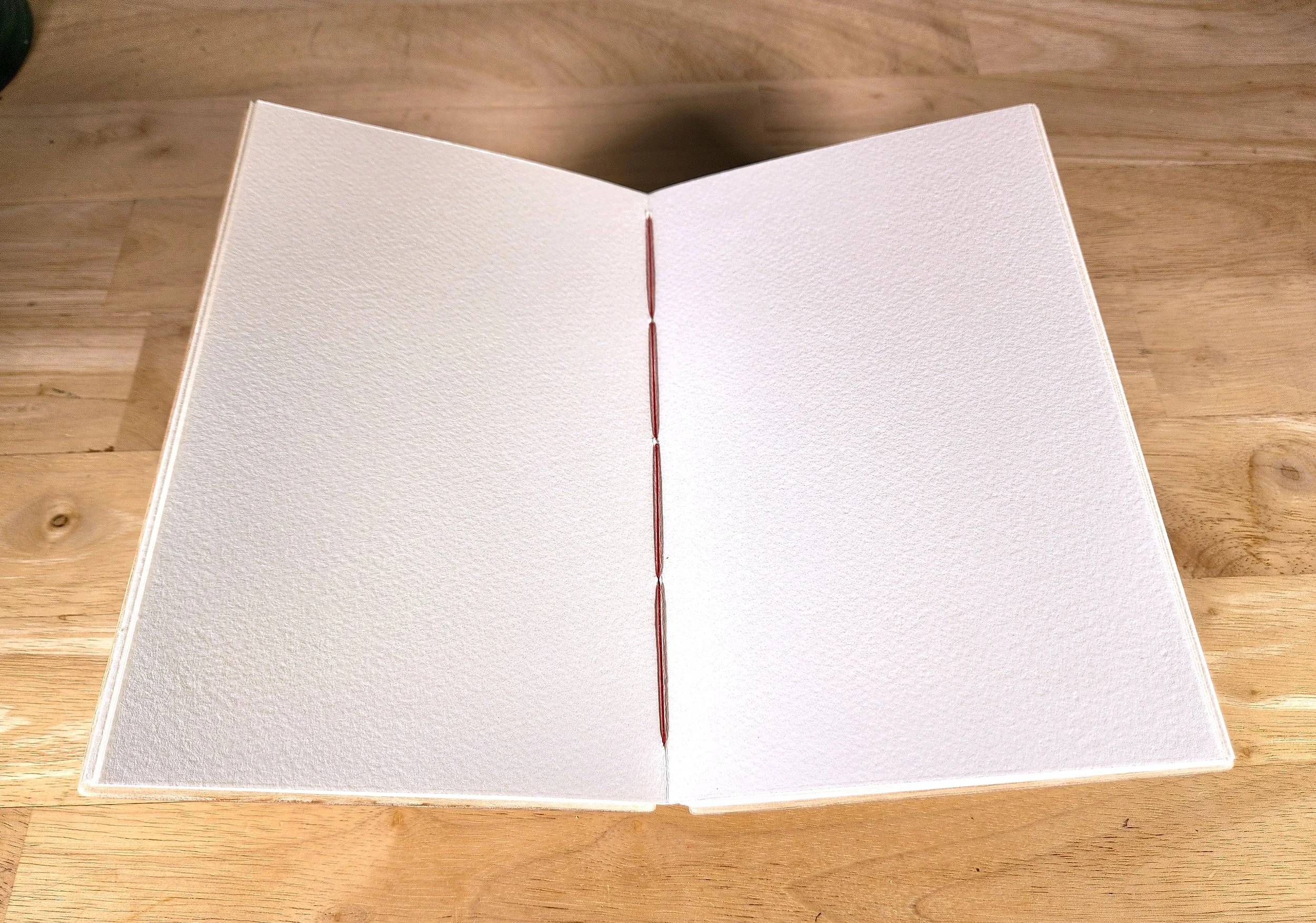 camino_journal_open.jpg