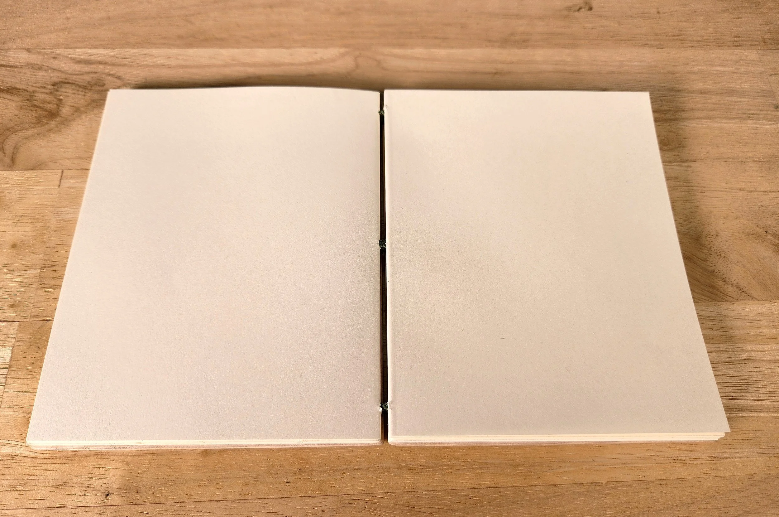 camino_journal_small_flat.jpg
