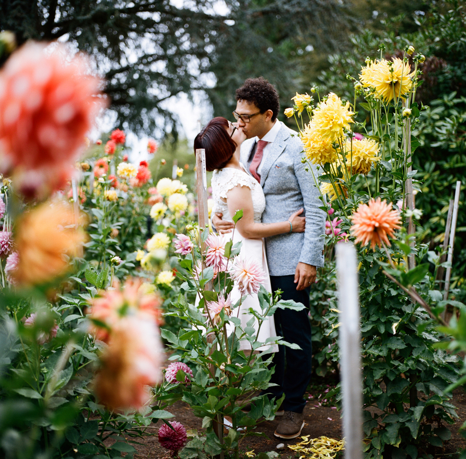 Reception in the park from a Volunteer Park Conservatory Elopement.