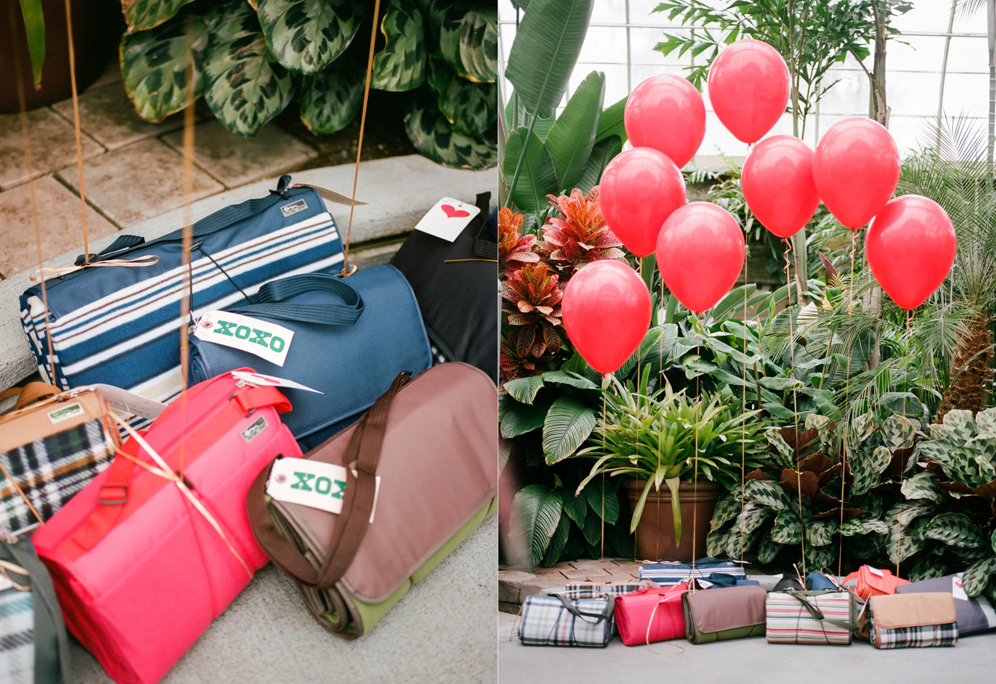 Details from a Volunteer Park Conservatory elopement in Seattle