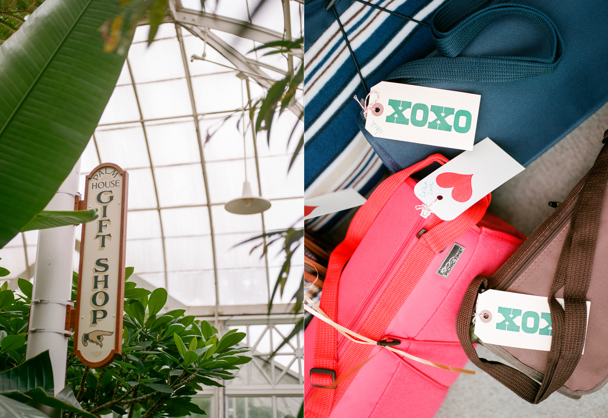 Details from a Volunteer Park Conservatory elopement in Seattle