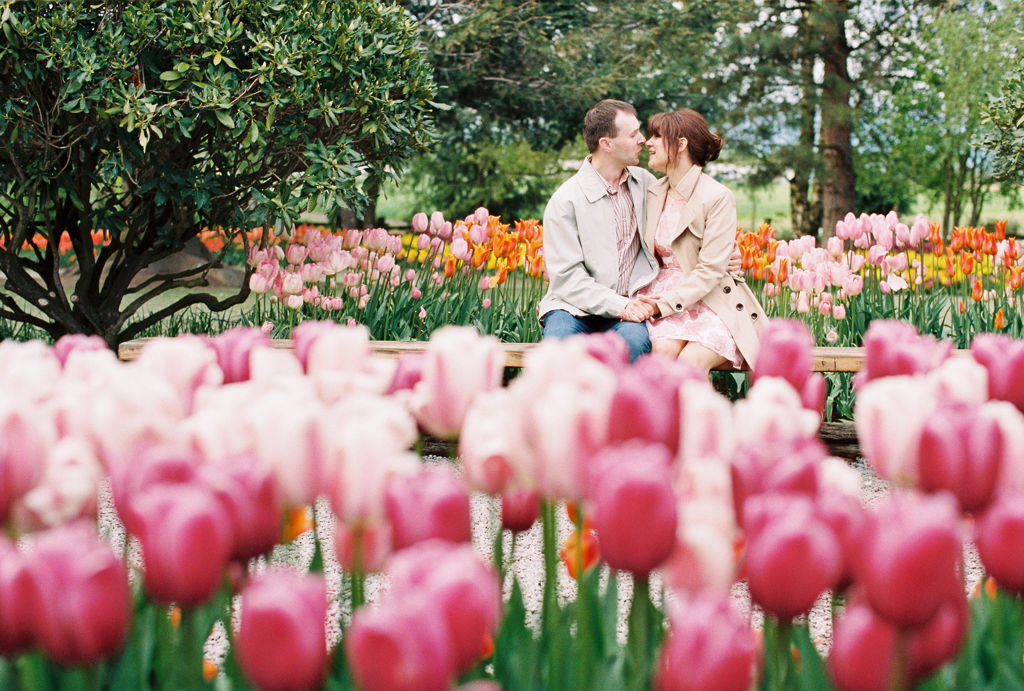 Colorful tulip festival engagement session at Roozengarde in the Skagit Valley