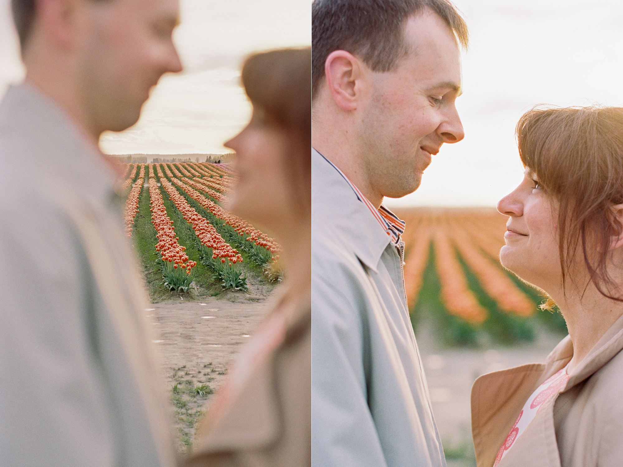 Colorful tulip festival engagement session at Roozengarde in the Skagit Valley