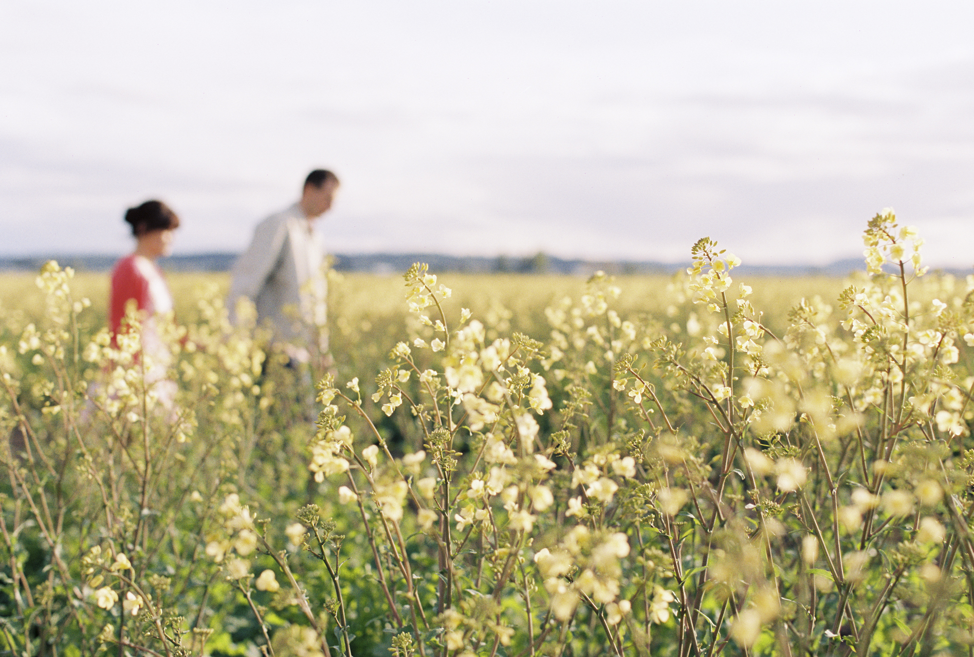 Colorful tulip festival engagement session at Roozengarde in the Skagit Valley