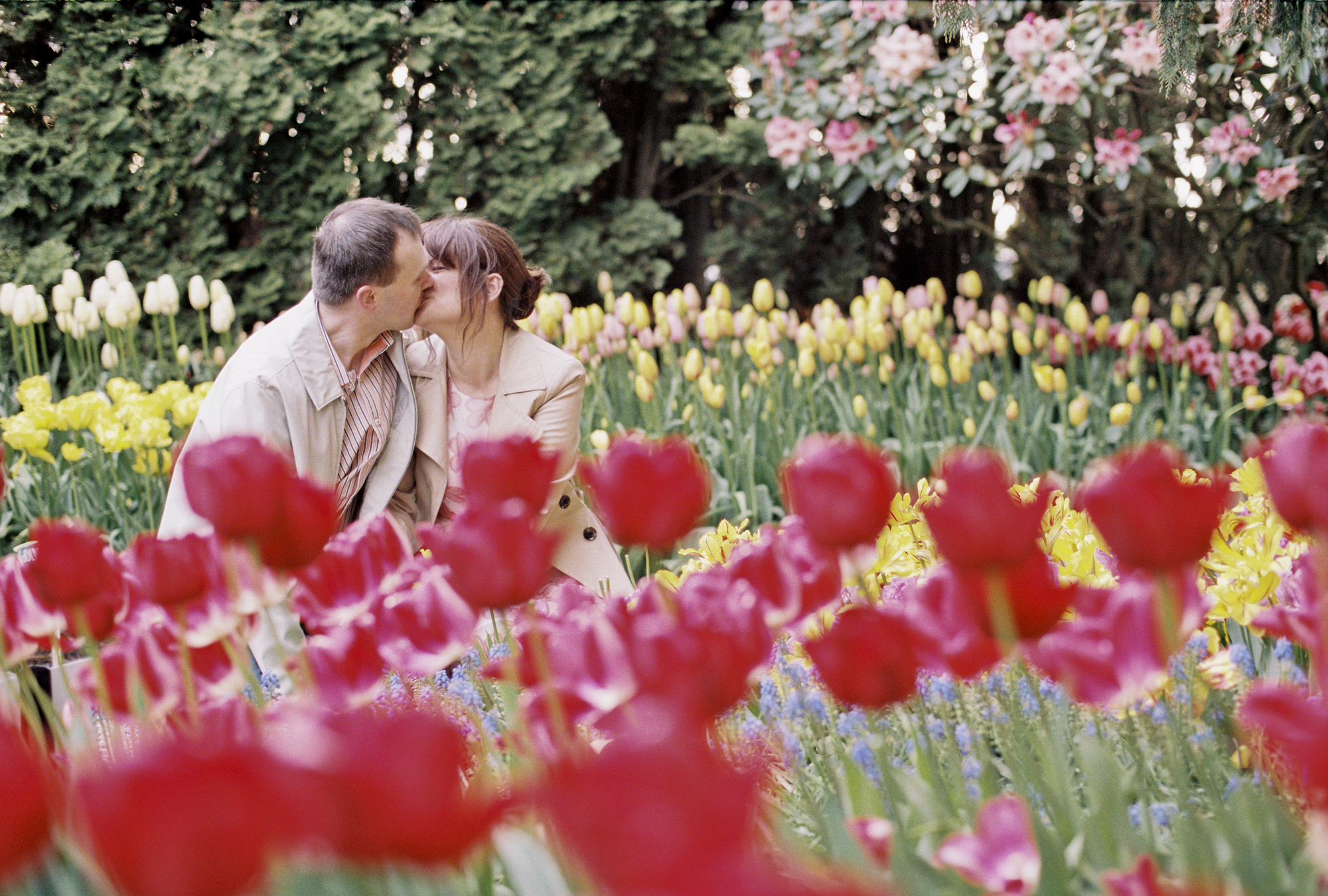 Colorful tulip engagement session at Roozengarde in the Skagit Valley