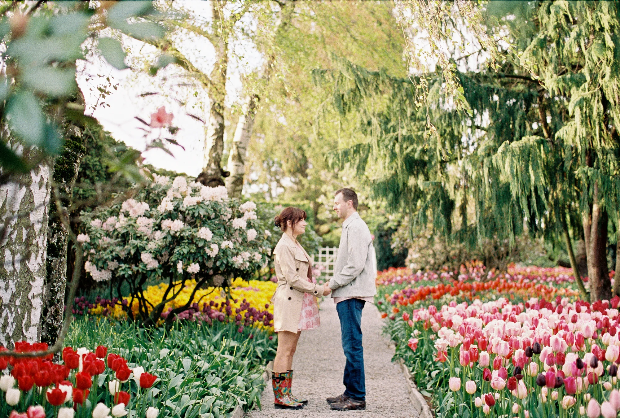 Colorful tulip festival engagement session at Roozengarde in the Skagit Valley