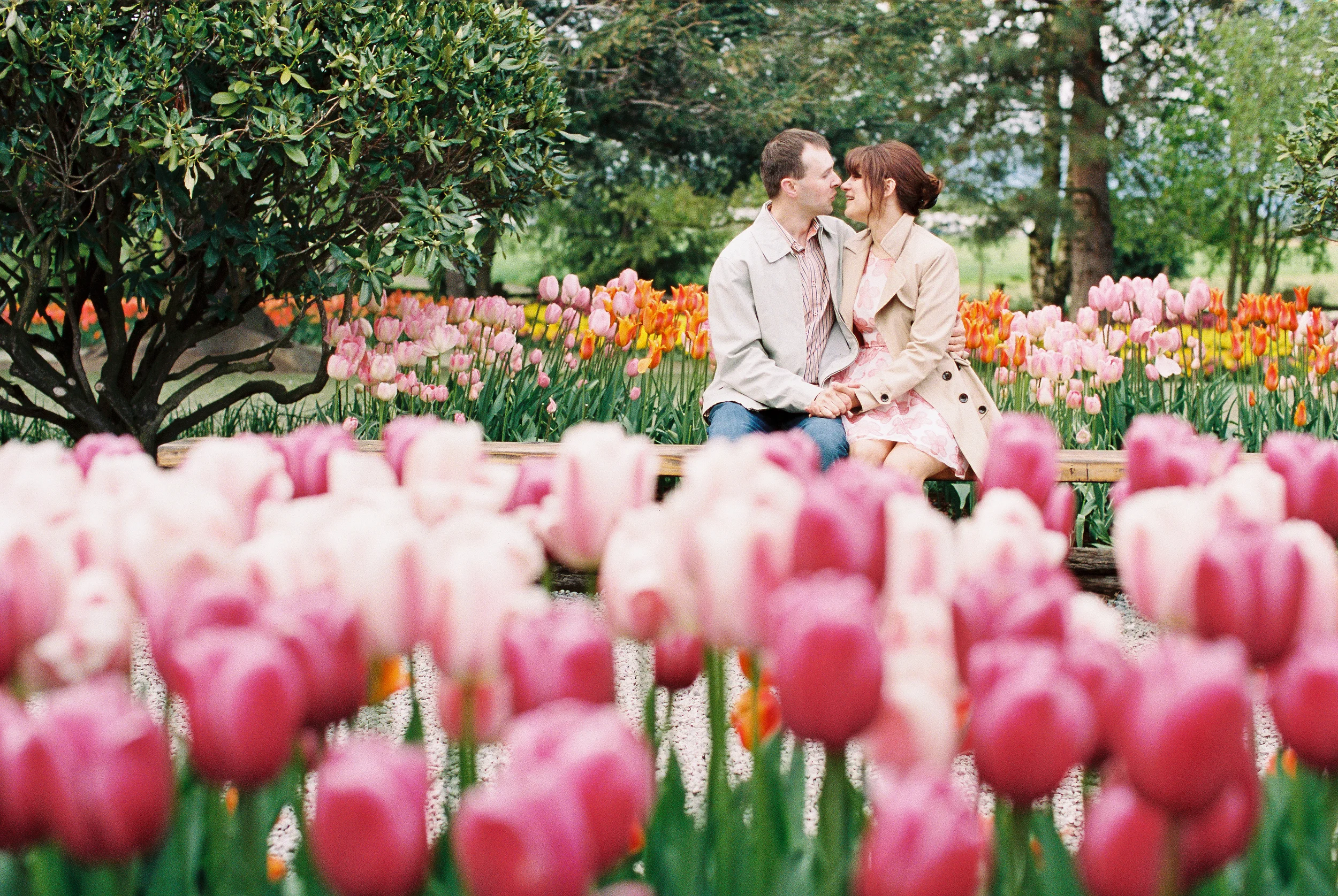 Tulip Festival Engagement Portrait Session in the Skagit Valley
